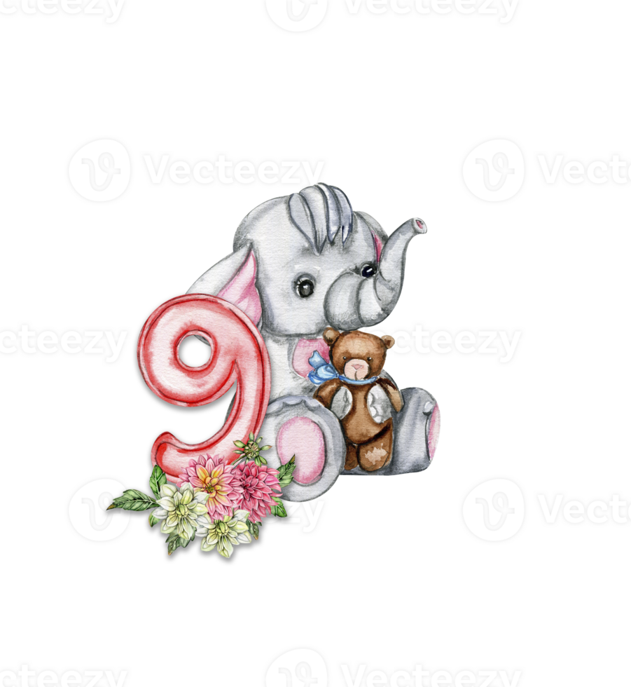 Watercolor hand drawn small baby elephant with dahlia flowers and numbers composition. png