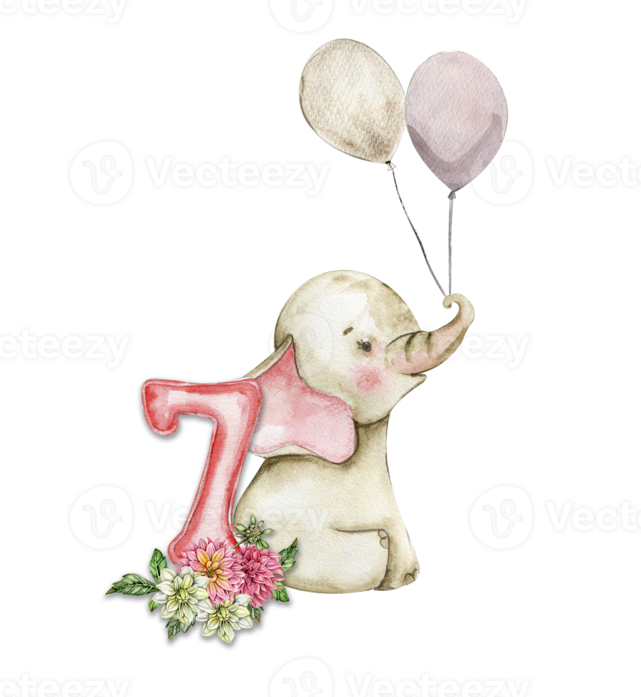 Watercolor hand drawn small baby elephant with dahlia flowers and numbers composition. png