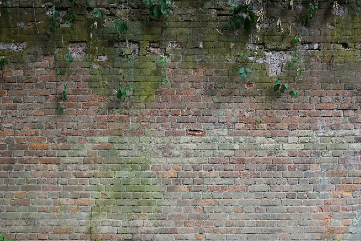 Very old brick stone wall of castle or fortress of 18th century. Full frame wall with obsolete dirty and cracked bricks photo