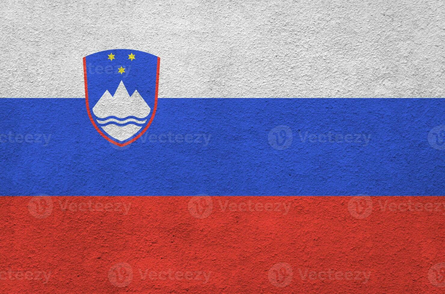 Slovenia flag depicted in bright paint colors on old relief plastering wall. Textured banner on rough background photo