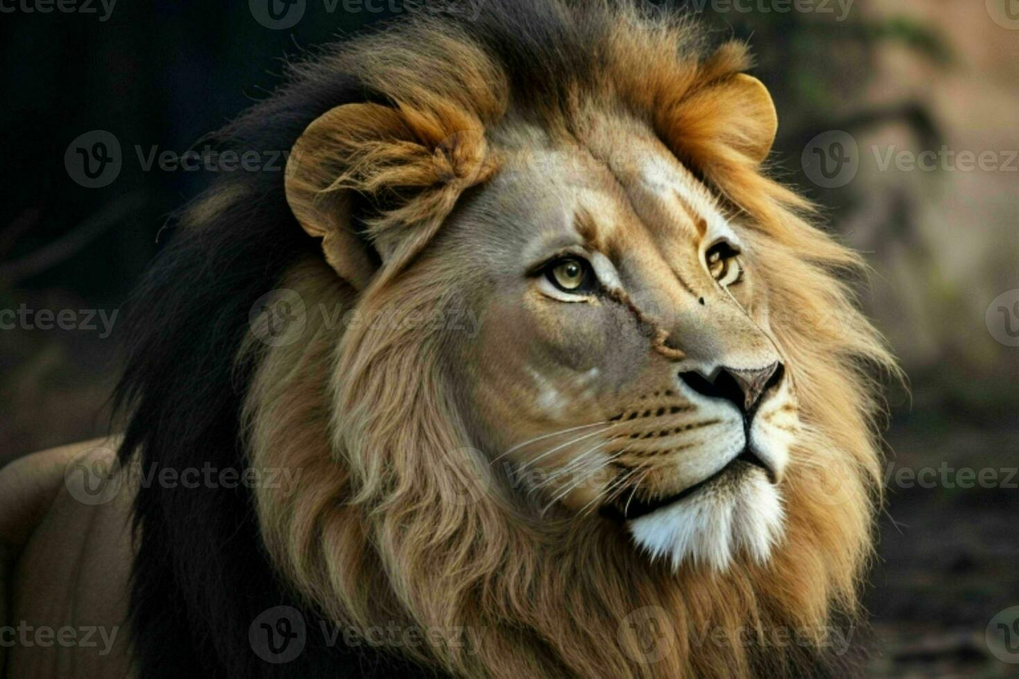 Lion. background. AI Generative Pro Photo