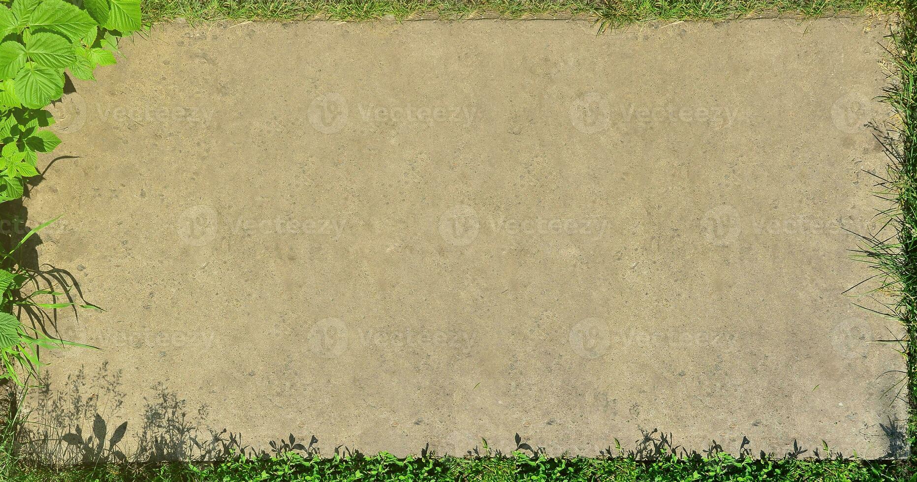 The texture of a flat concrete surface surrounded by grass and a raspberry bush. A blank for a postcard. Landscaped vegetative frame of a concrete background space photo