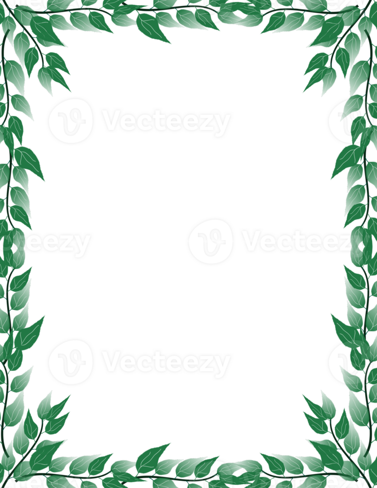Green leaf frame illustration. Leaves border clipart png