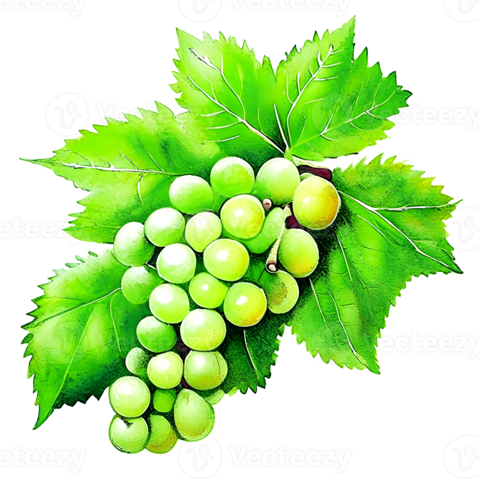 green grape and leaf AI Generated png