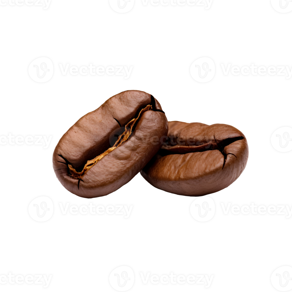 Coffee bean PNG 33544673 PNG