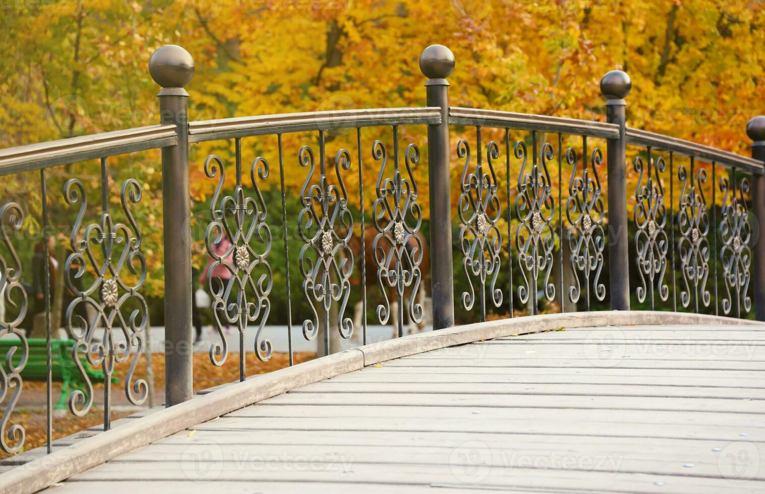 Beautiful Nature Autumn landscape with small bridge. Scenery view on autumn city park with golden yellow foliage in cloudy day photo