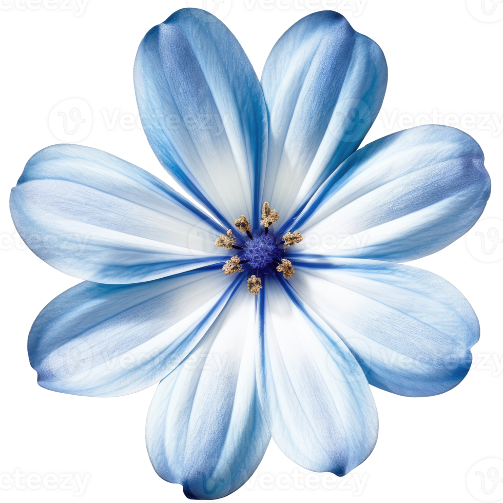 Flower Daisy cut out, AI Generative png