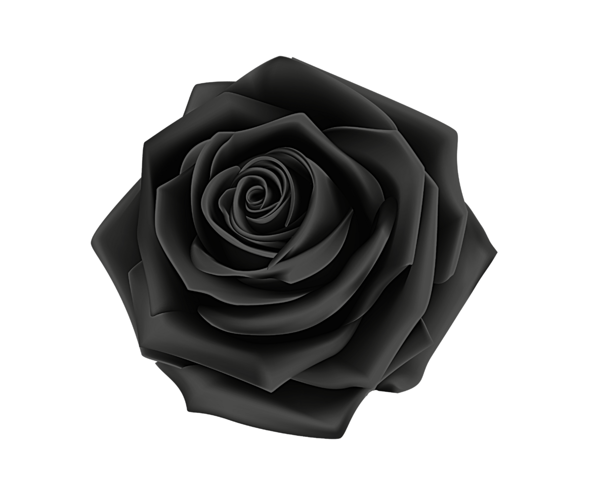 Black Rose, Single Red Rose,, flower Arranging, plant Stem 33545032 PNG