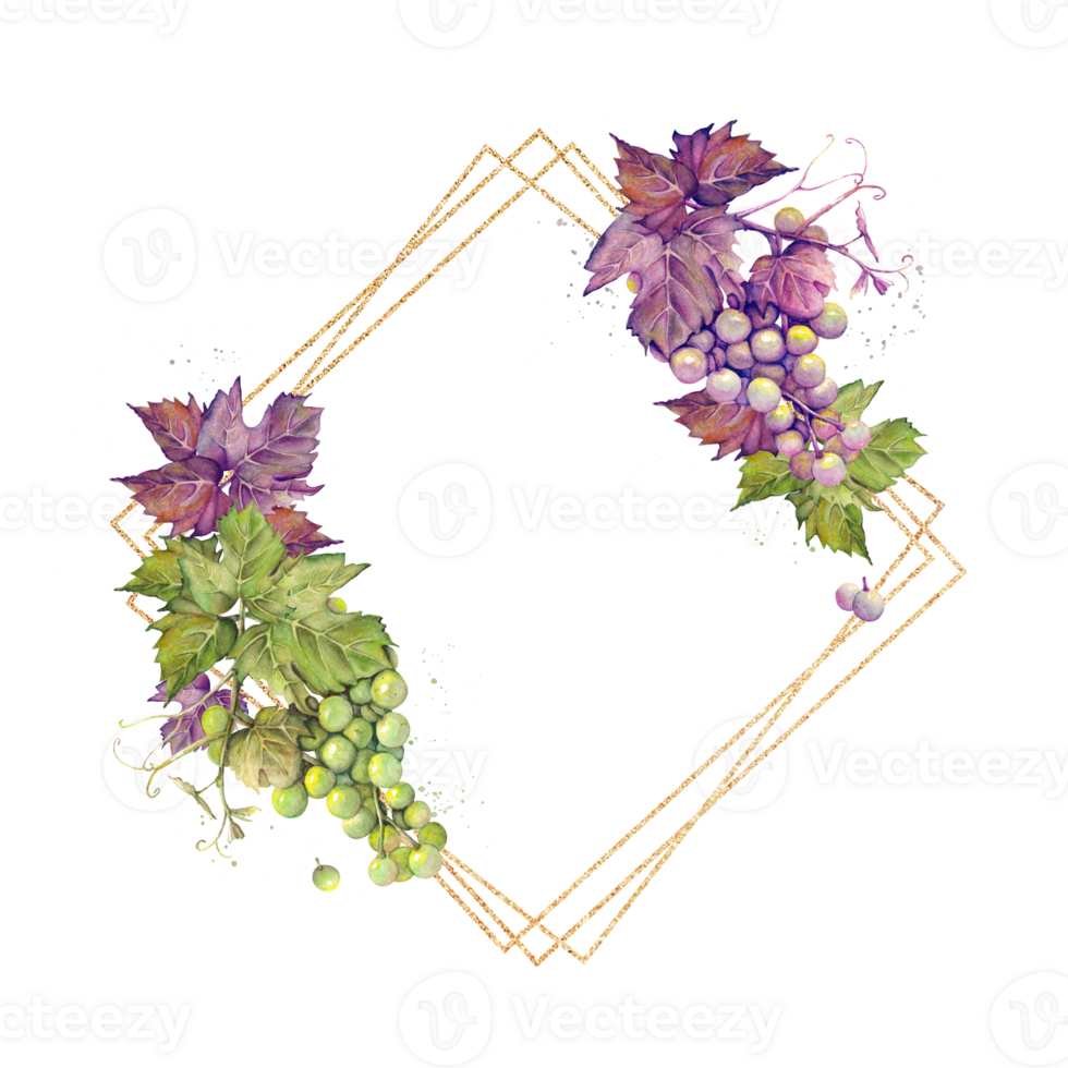 Gold diamond frame with a bunch of purple and green grapes drawn in watercolor. png