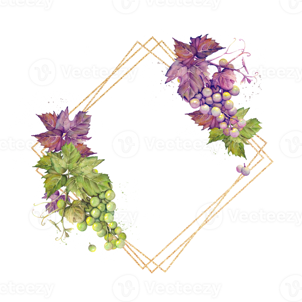 ouro diamante quadro, Armação com uma grupo do roxa e verde uvas desenhado dentro aquarela. png