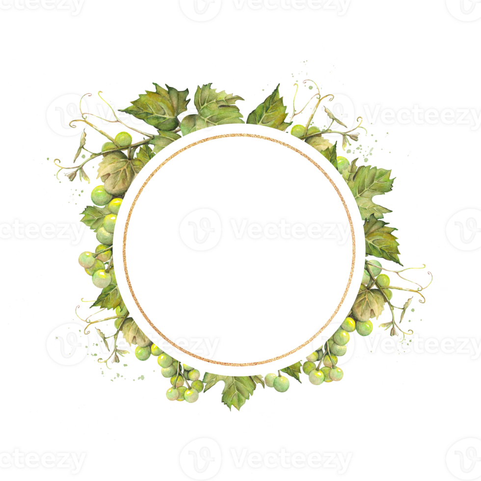 volta dourado quadro, Armação com uma grupo do verde uvas desenhado dentro aguarela com espaço para texto. png