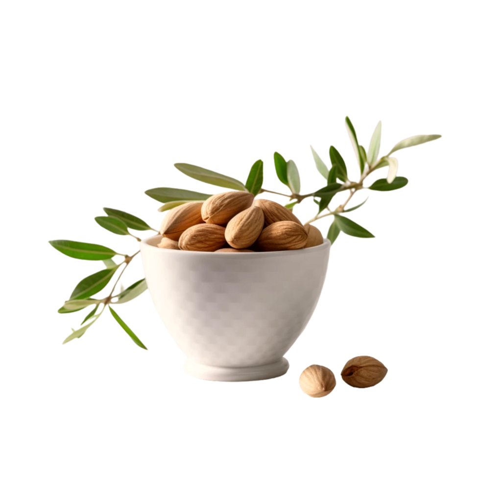Almond in white bowl alone  Generative Ai png
