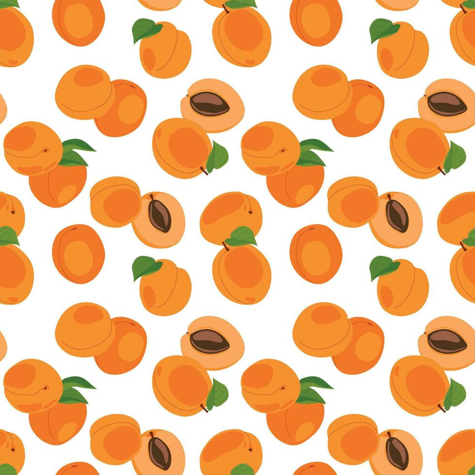 Apricot seamless pattern. Vector. Fruits whole and cut into pieces on a white background. Summer tropical endless background for label, fabric, packaging. vector