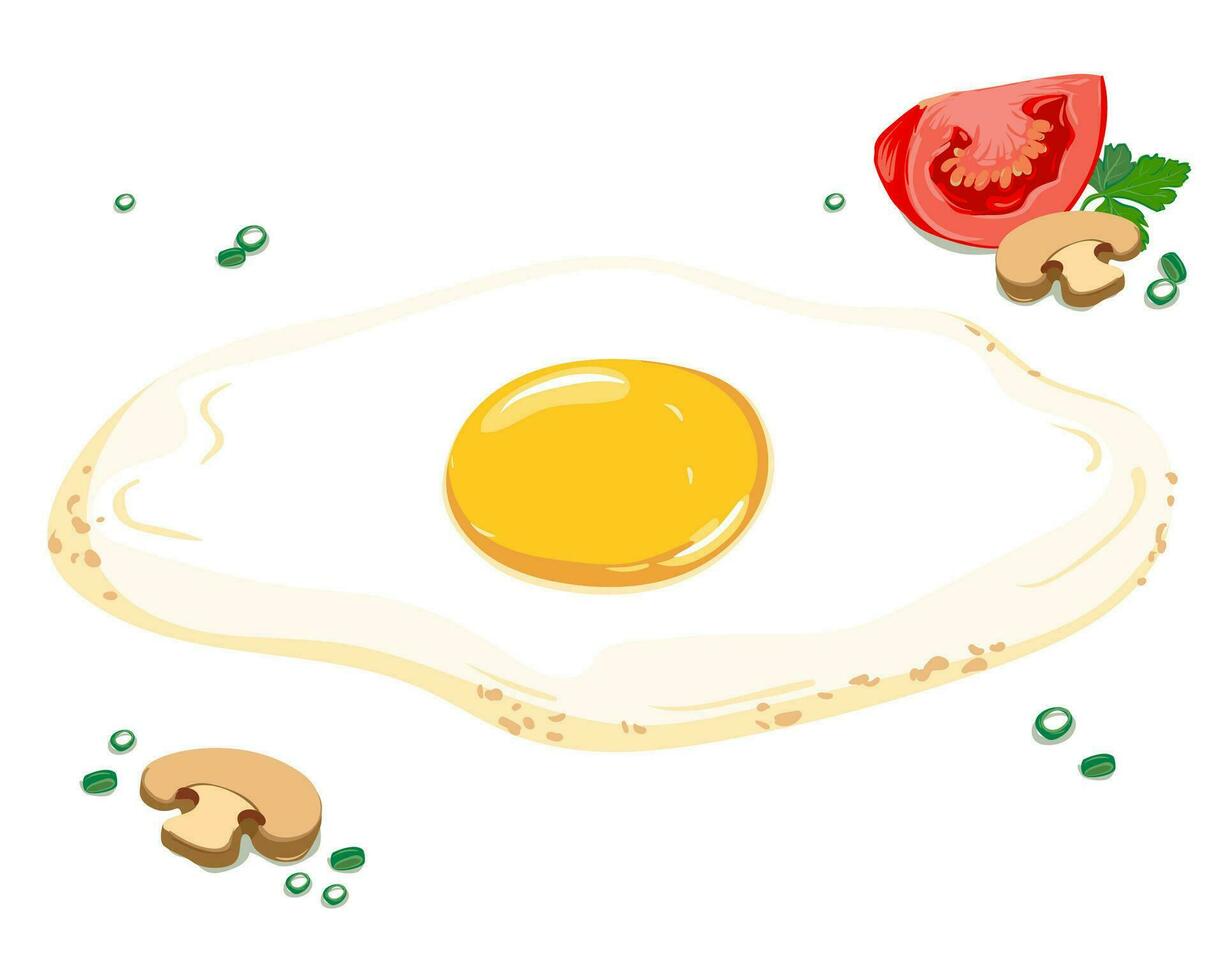 Fried eggs on white, vector illustration