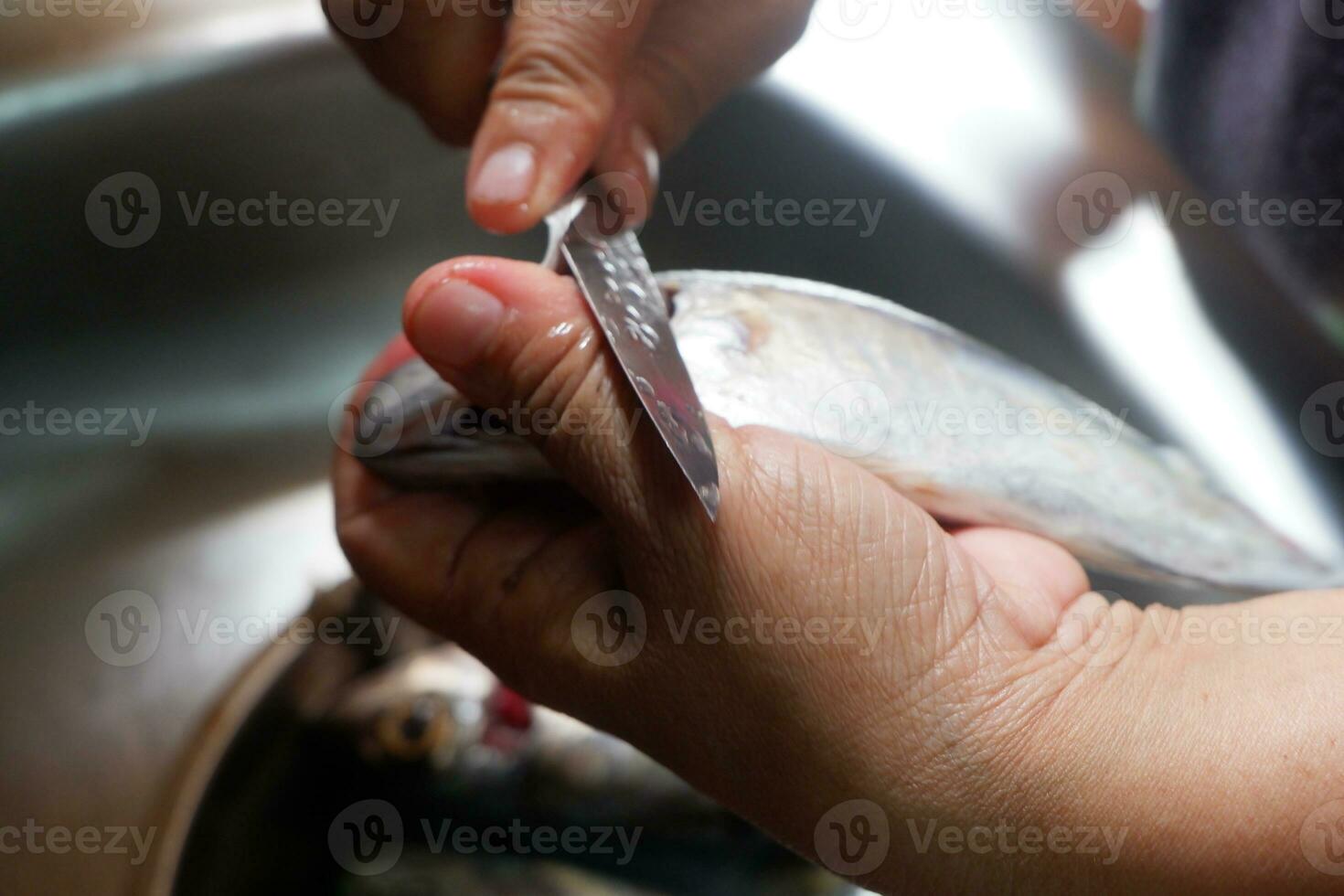 A chef cuts fish with his trusty knife to create a delicious meal. photo