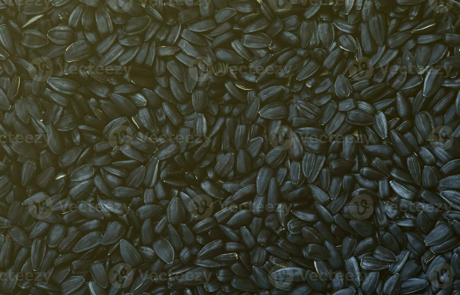 A pattern of many unprocessed fried sunflower seeds in a black shell. photo