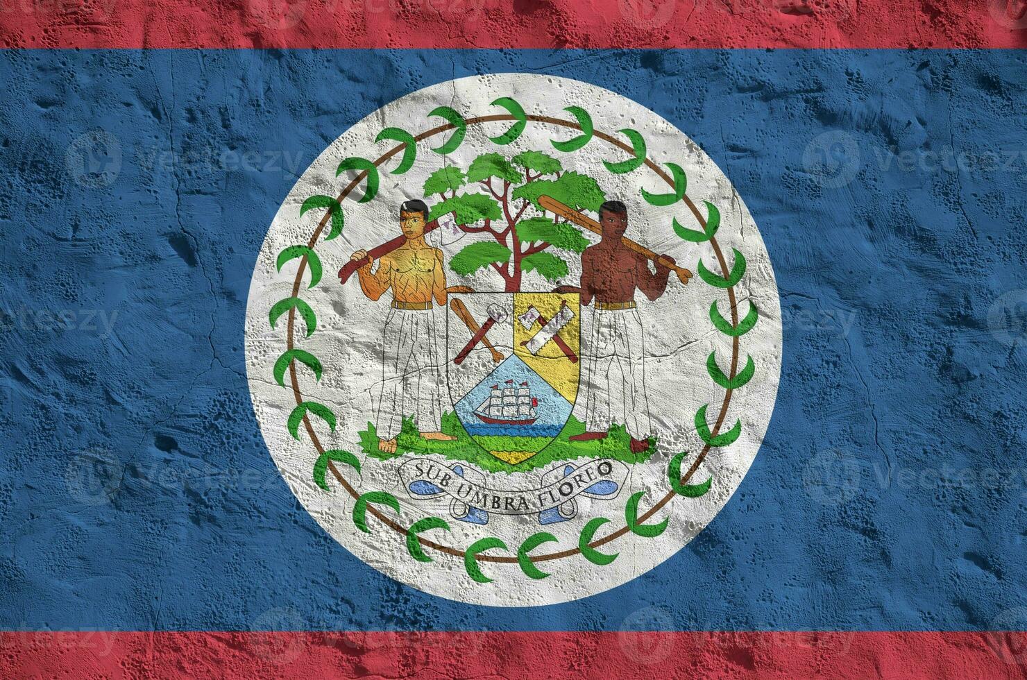 Belize flag depicted in bright paint colors on old relief plastering wall. Textured banner on rough background photo