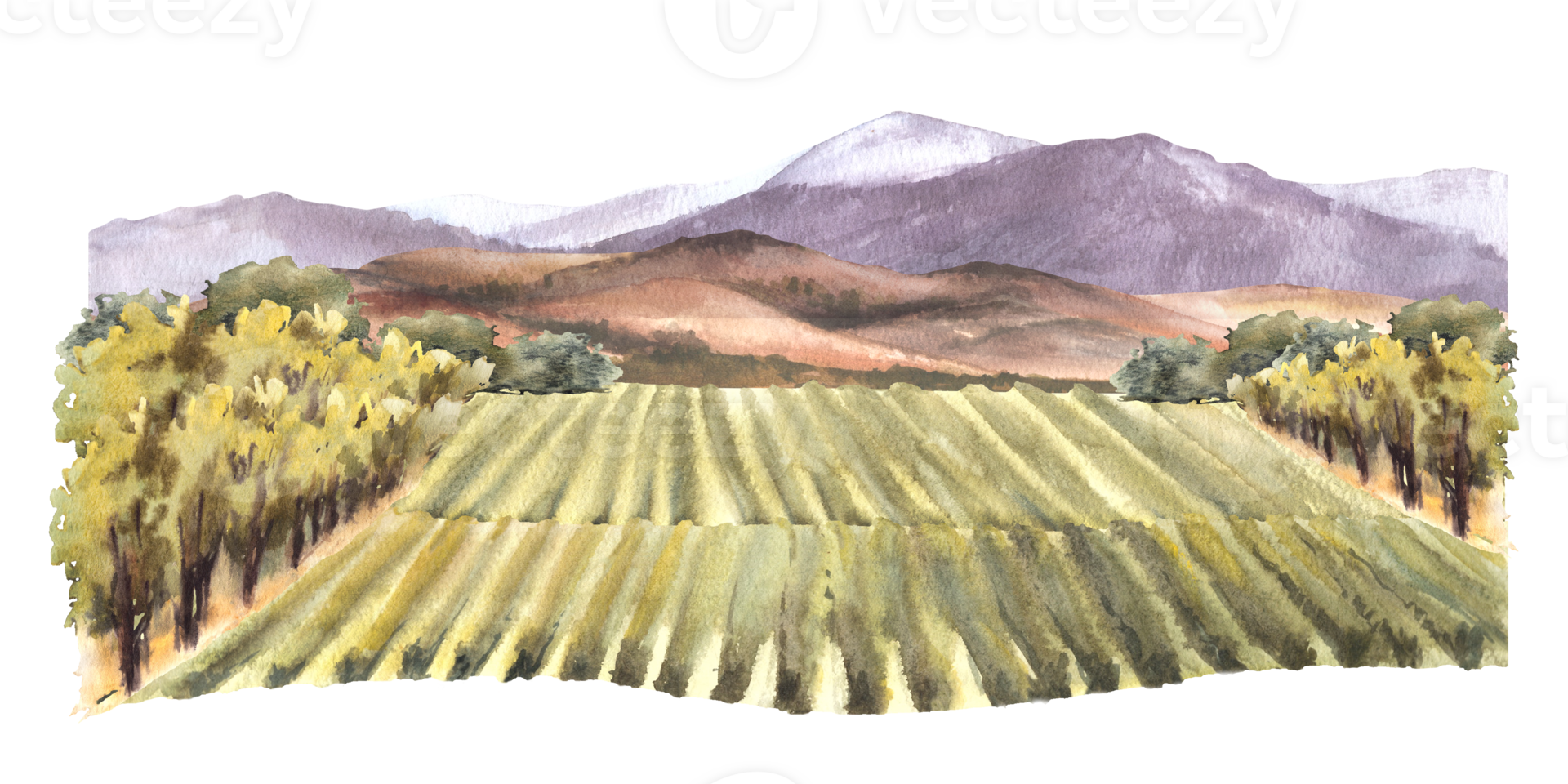 Watercolor landscape with grape fields, vineyards, bushes, trees, grapes, hills and mountains. Rural landscape, winemaking farm label. Hand draw watercolor illustration. png