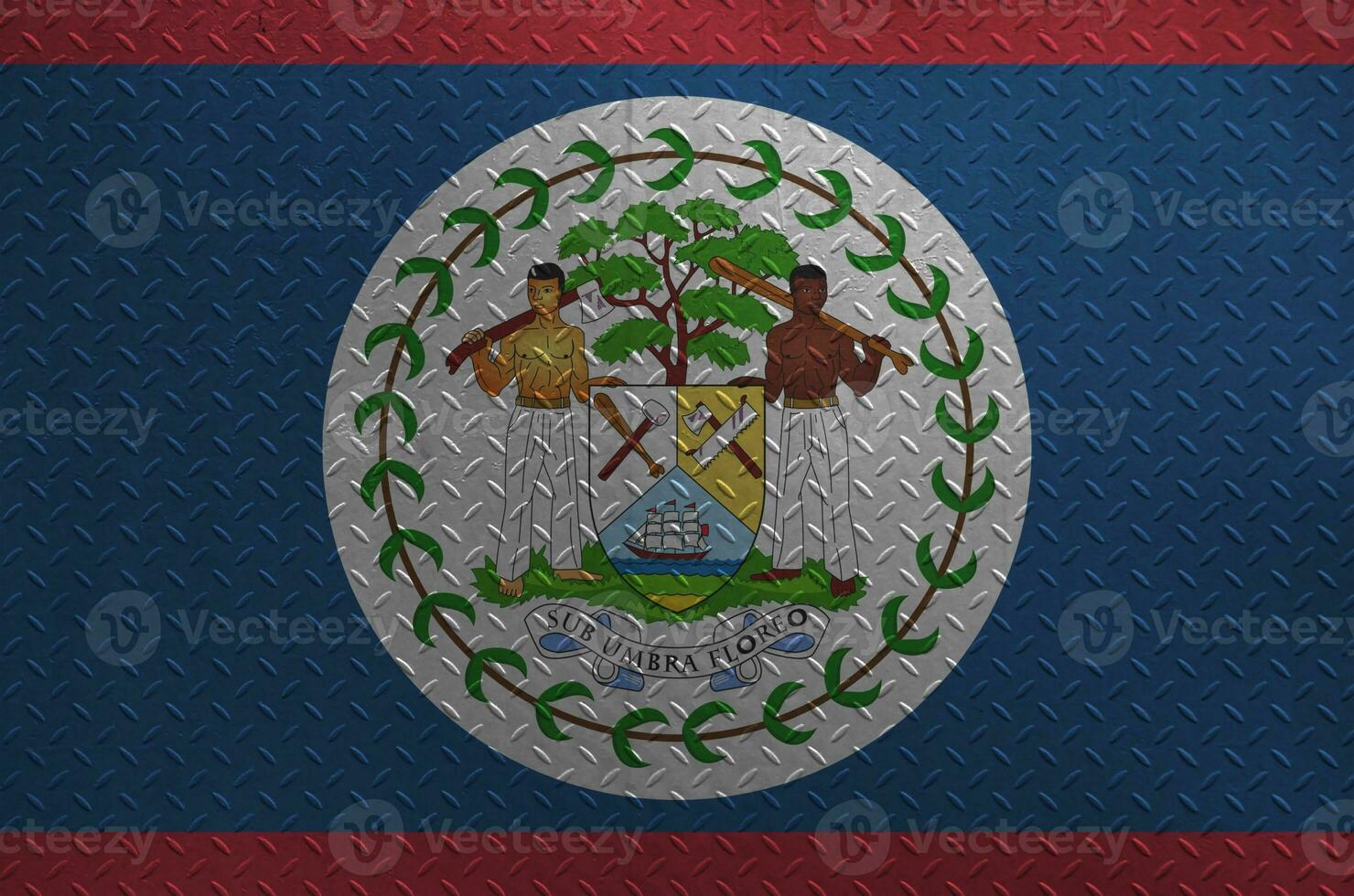 Belize flag depicted in paint colors on old brushed metal plate or wall closeup. Textured banner on rough background photo