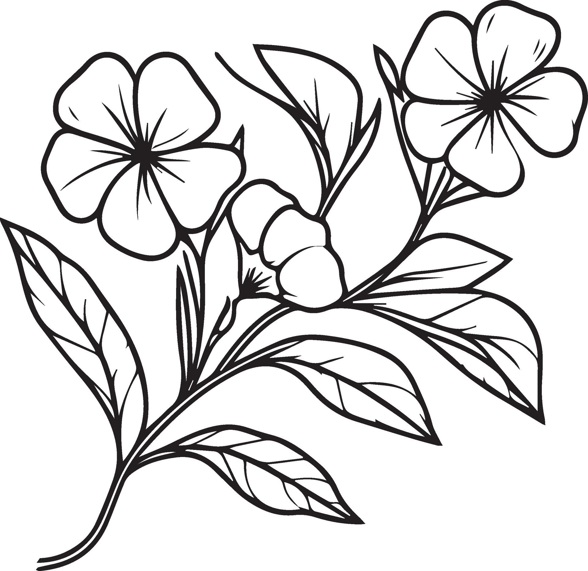 Unique flower coloring pages, Handdrawn vector illustration of a