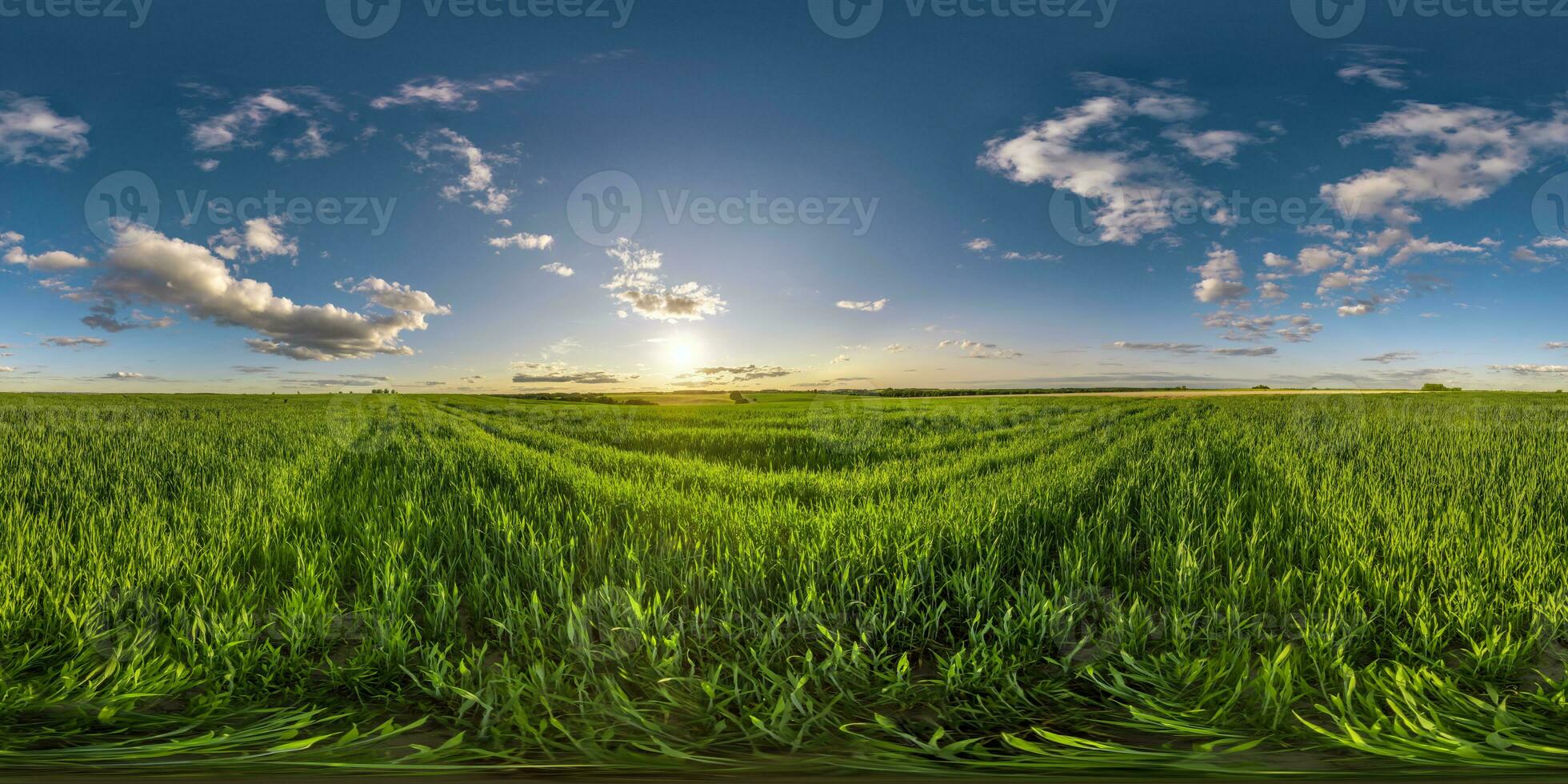 spherical 360 hdri panorama among green grass farming field with storm clouds on blue sky in equirectangular seamless projection, use as sky dome replacement, game development as skybox or VR content photo