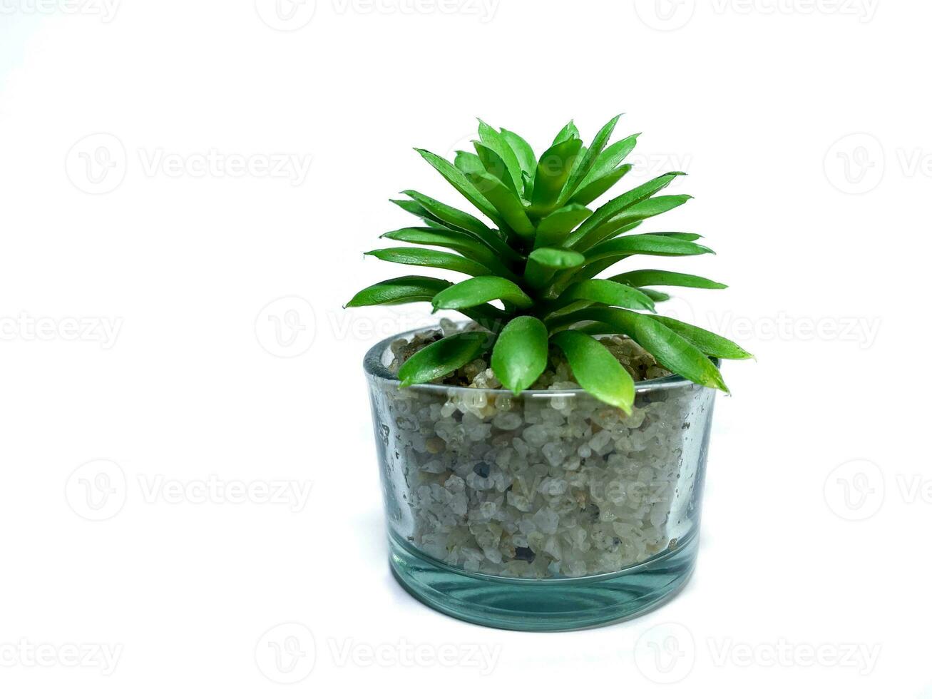 hermosa artificial plantas decoraciones, falso hogar mesa verdor con claro vaso ollas aislado en blanco antecedentes. foto