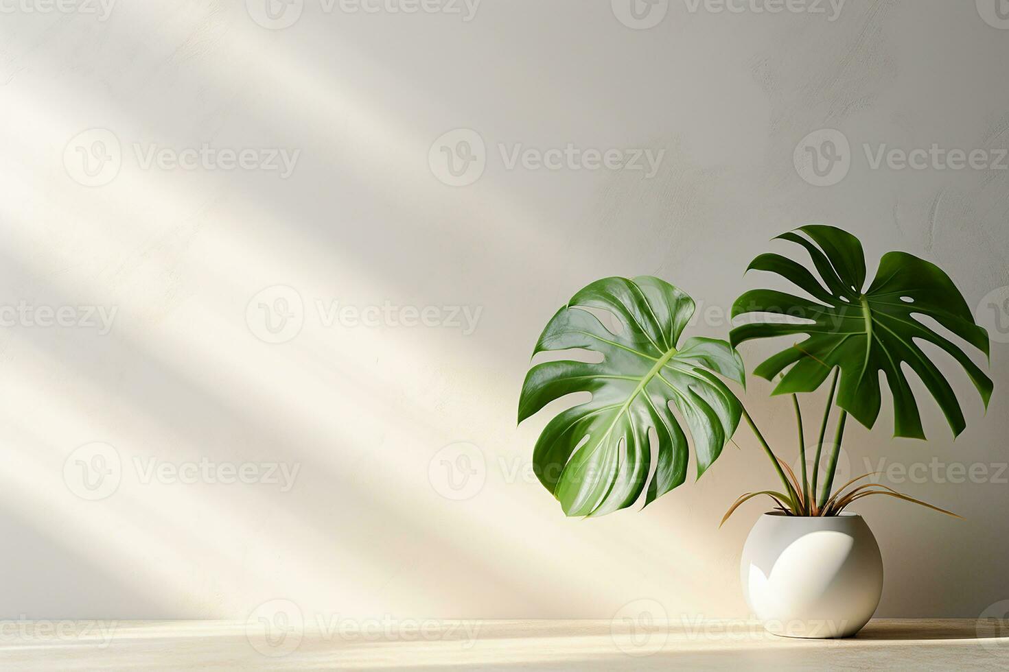 Monstera Plant on White Wall Background AI Generative photo