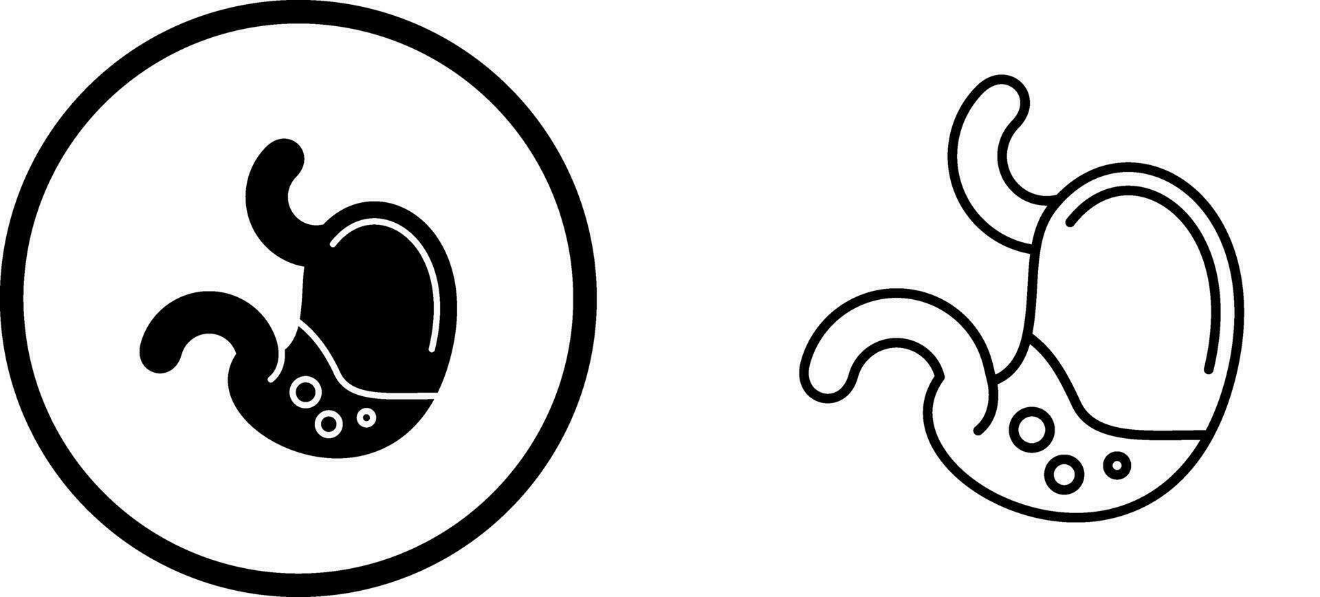 Stomach Vector Icon