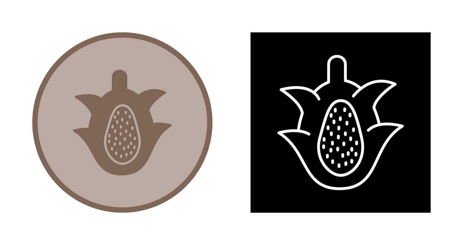 icono de vector de fruta de dragón