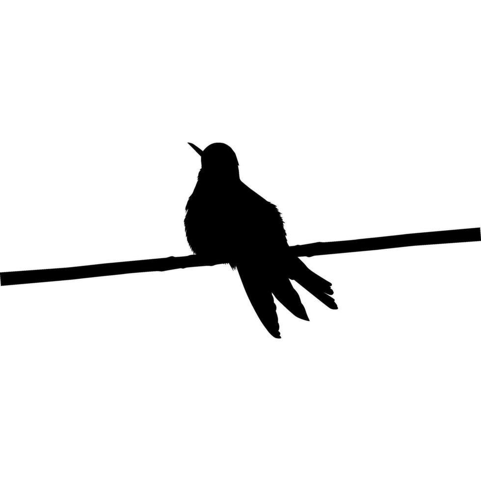 Perched Hummingbird Silhouette, can use Art Illustration, Website, Logo Gram, Pictogram or Graphic Design Element. Vector Illustration