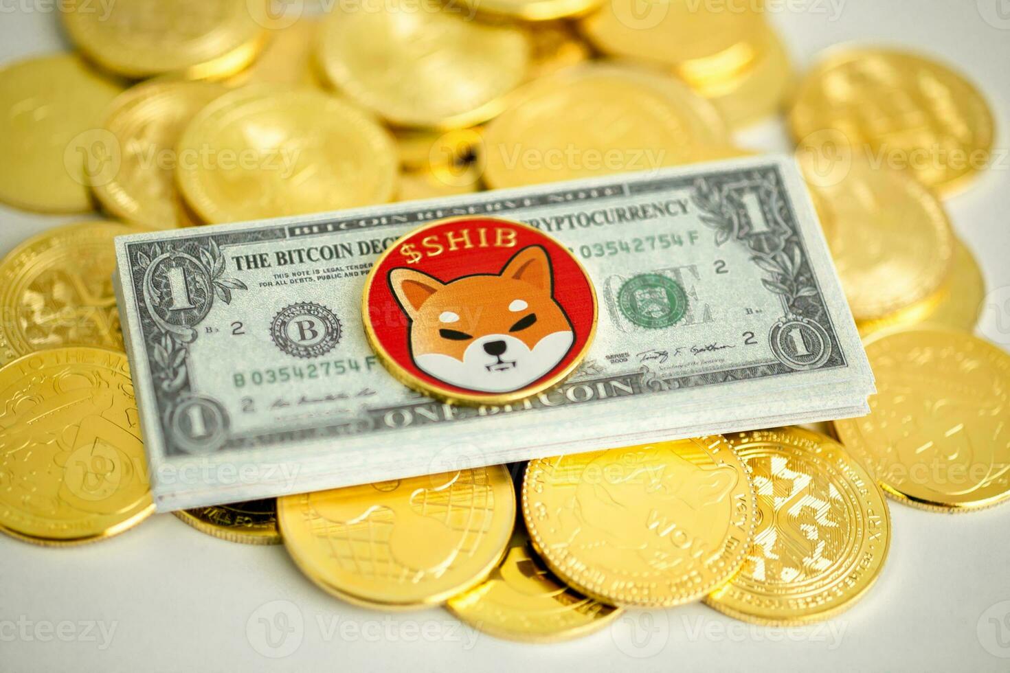 1 Shiba inu coin SHIB placed on a Bitcoin banknote with many crypto coins spread on a white background, Close up, Crypto concept. photo