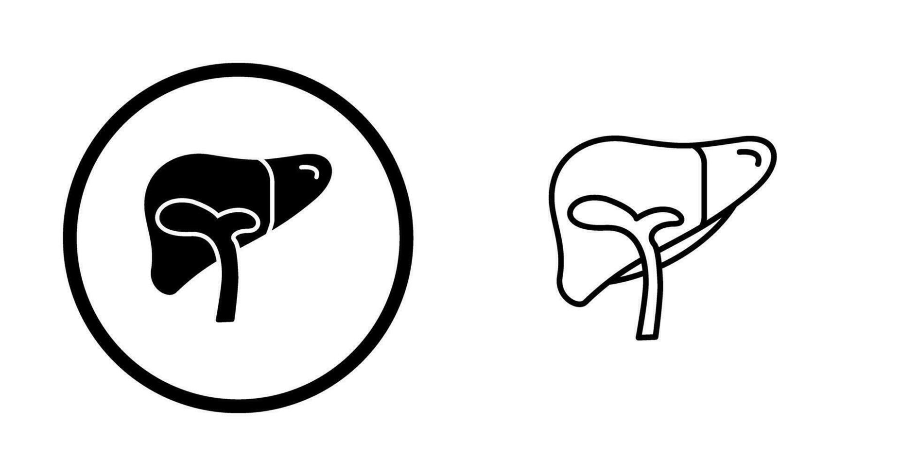 Liver Vector Icon