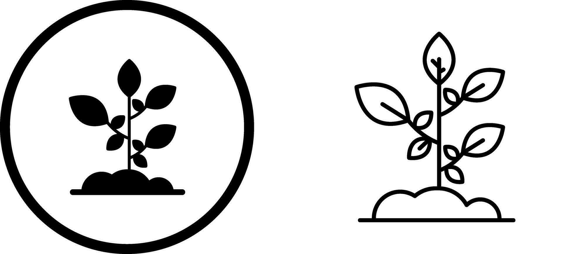 Sprout Vector Icon
