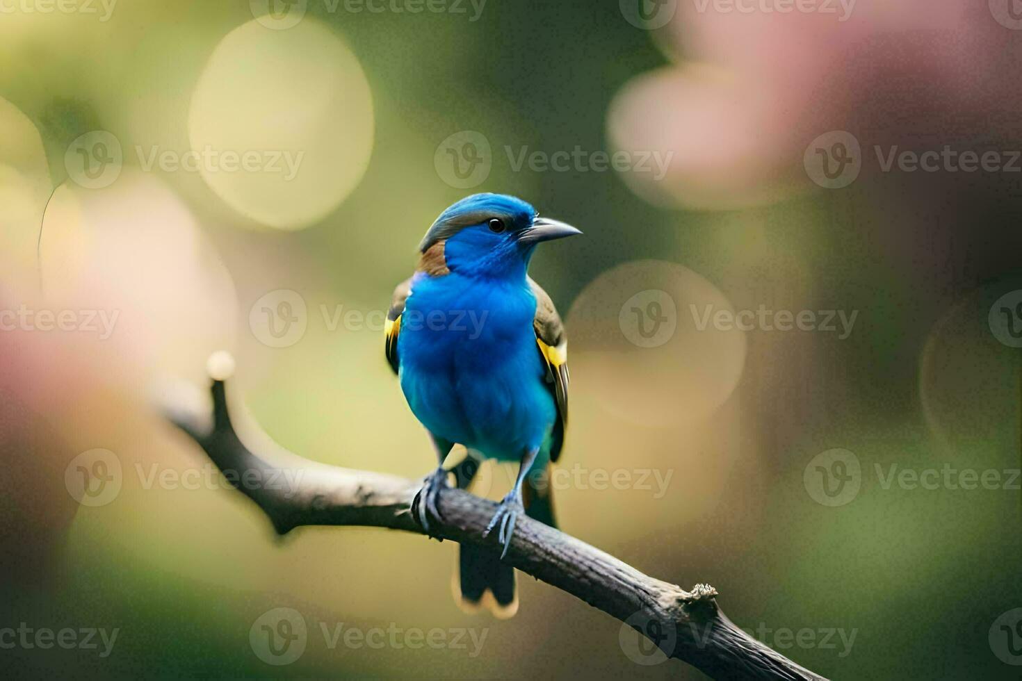 a blue bird sitting on a branch. AI-Generated photo