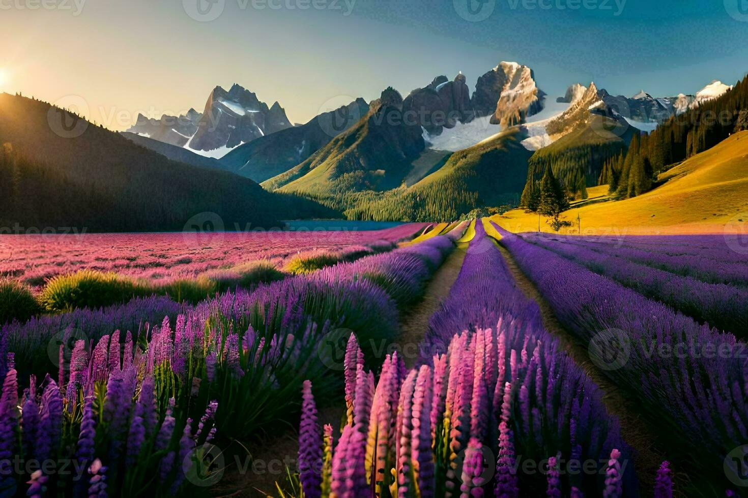 lavender field at sunset in the mountains. AI-Generated photo