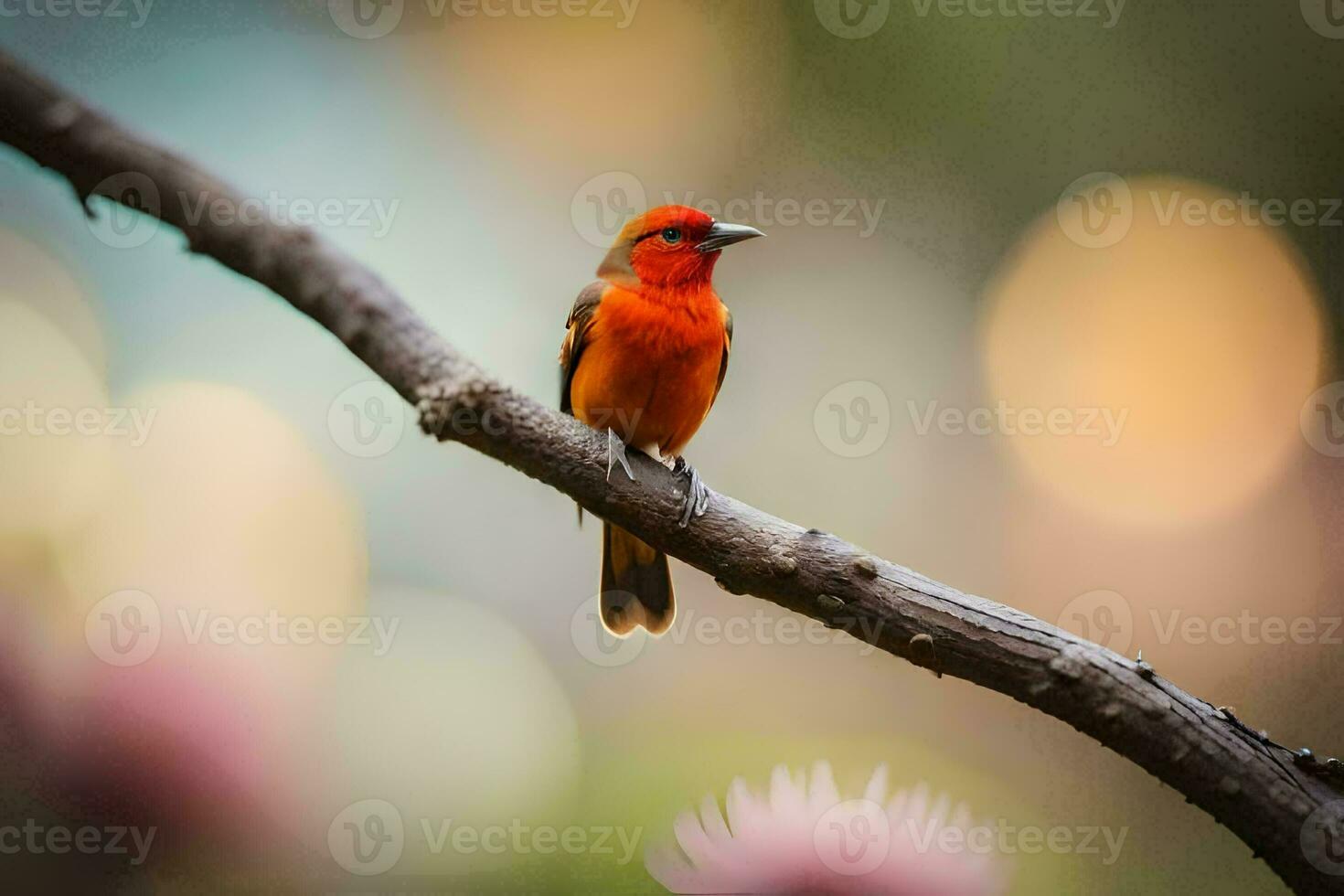 a red bird sitting on a branch. AI-Generated photo