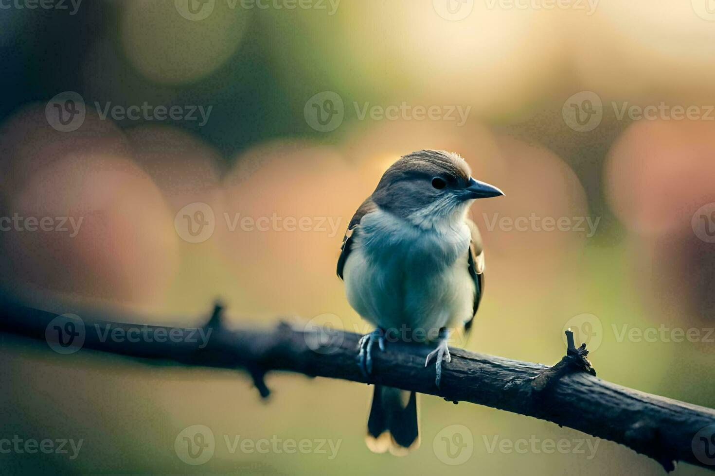 a small bird is sitting on a branch. AI-Generated photo
