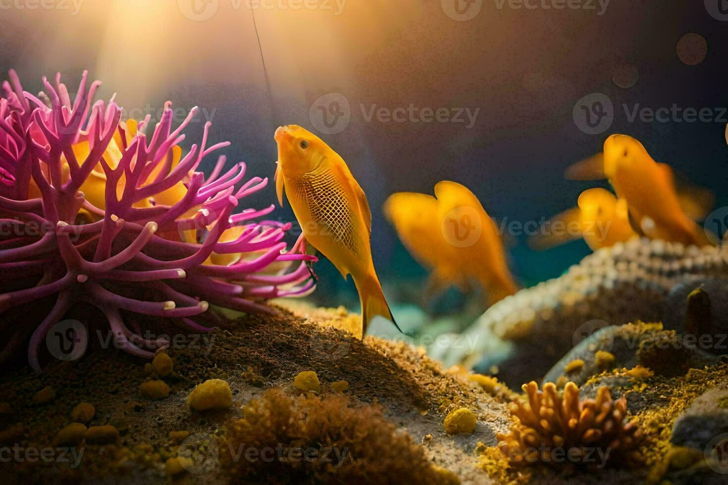 photo wallpaper sea, fish, coral, coral reef, underwater, underwater wallpaper, underwater wallpaper,. AI-Generated