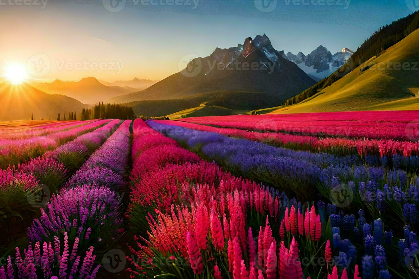 a field of purple flowers and mountains at sunset. AI-Generated photo