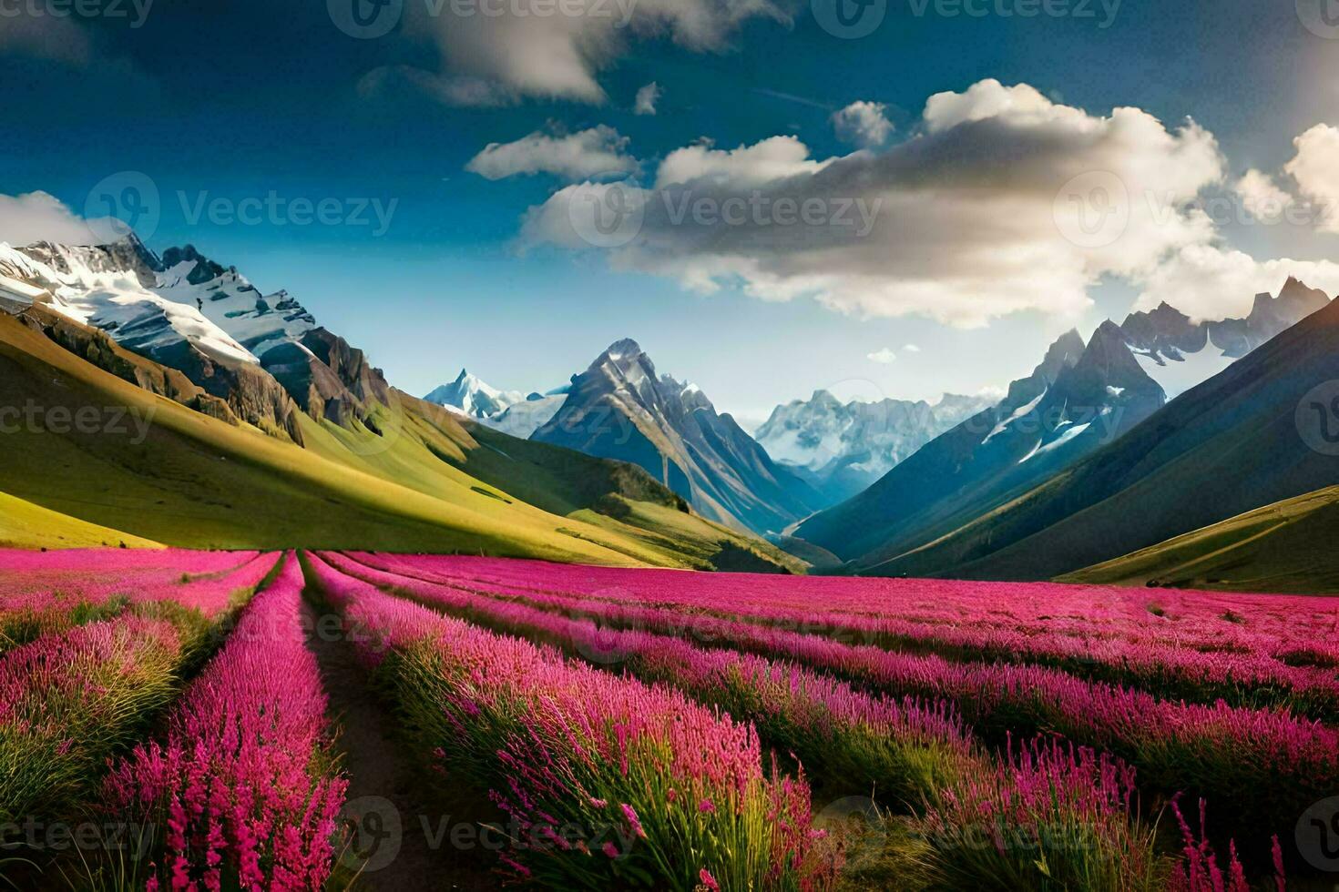 el lavanda campos de el Alpes. generado por ai foto