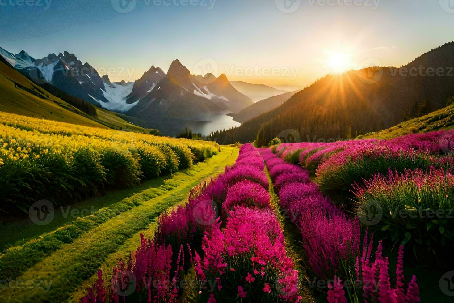 el Dom sube terminado un campo de flores en el montañas. generado por ai foto