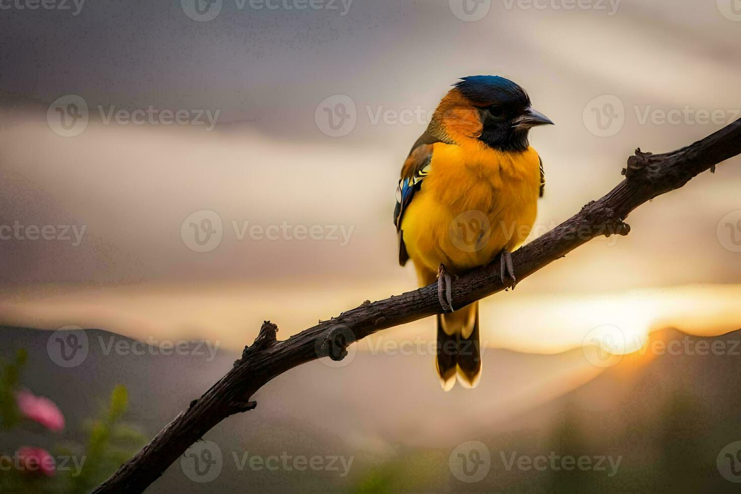 a bird sits on a branch in front of a sunset. AI-Generated photo