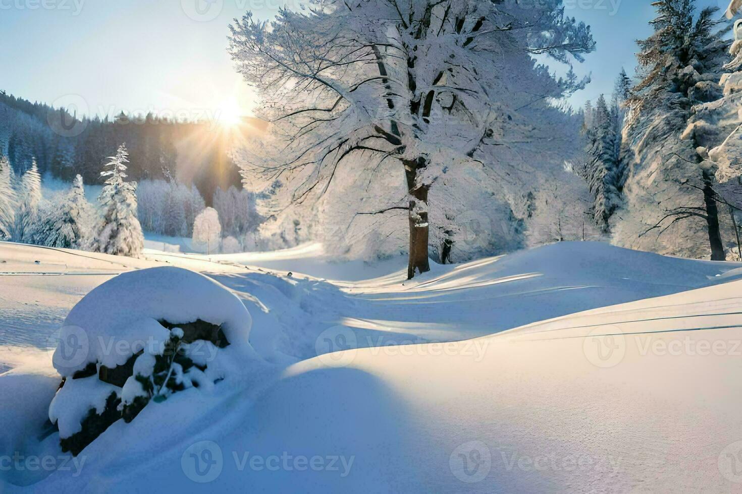 snow covered trees and rocks in the sun. AI-Generated photo