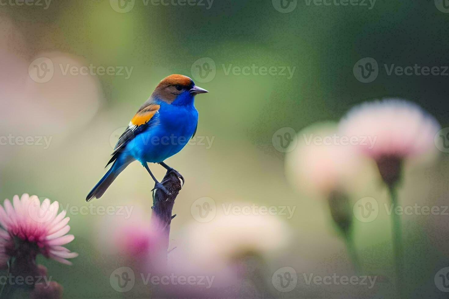 a blue and yellow bird is perched on a branch. AI-Generated photo