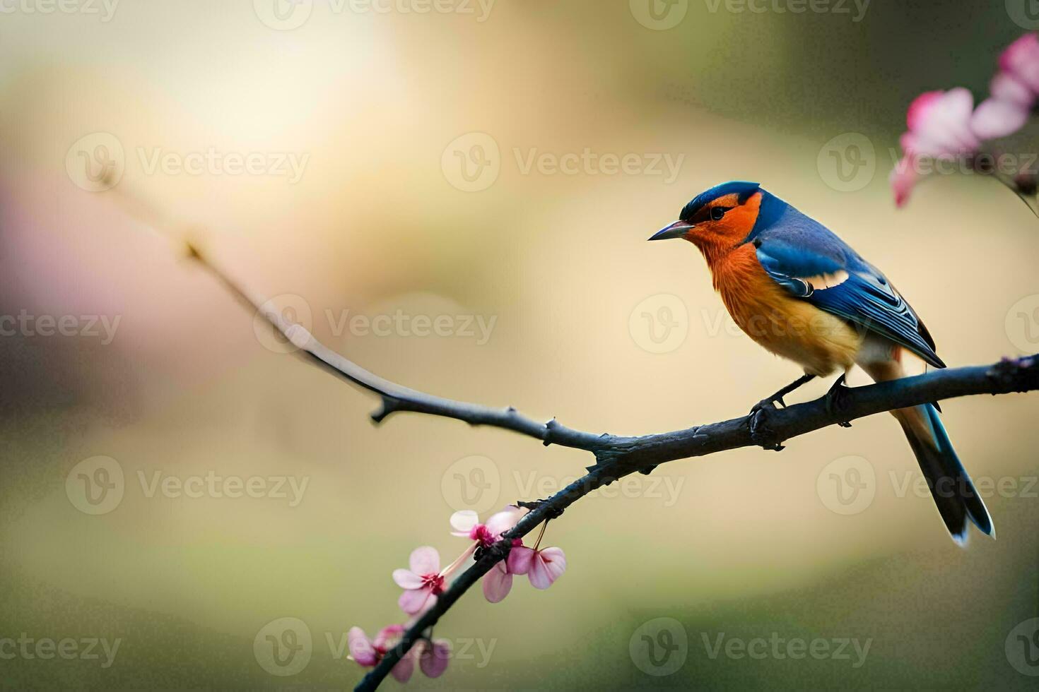a blue and orange bird sits on a branch. AI-Generated photo
