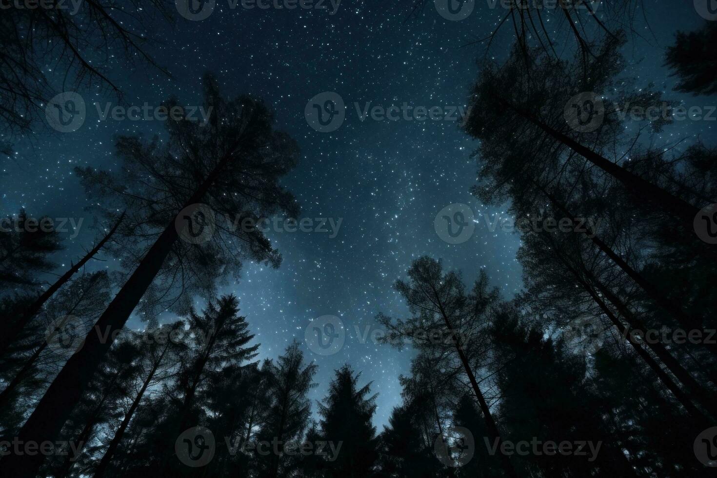 night sky in forest, view of star on night sky through tree brunches. AI Generative photo