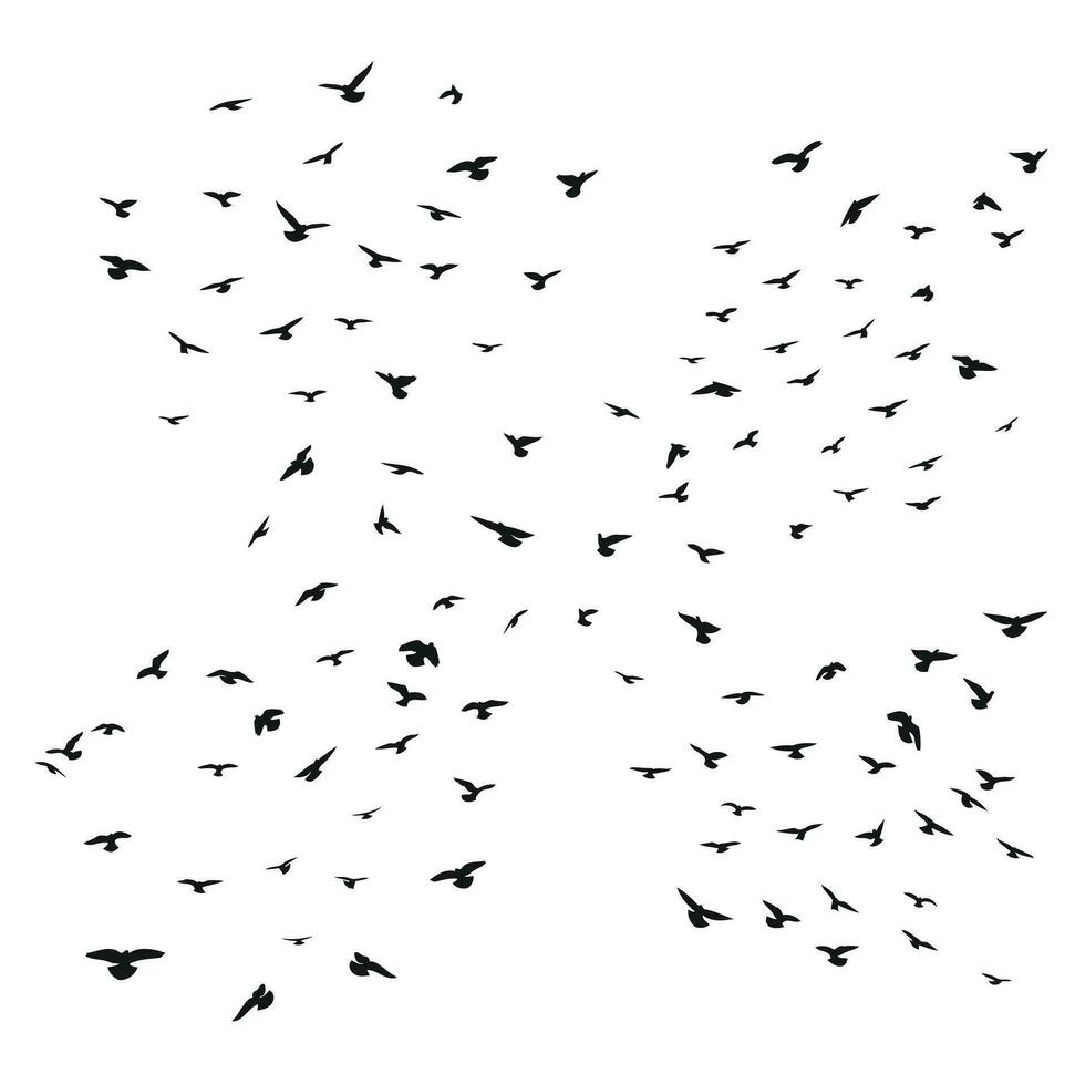 Sketch drawing of a silhouette of a flock of birds flying forward. Takeoff, flying, flight, flutter, hover, soaring, landing vector