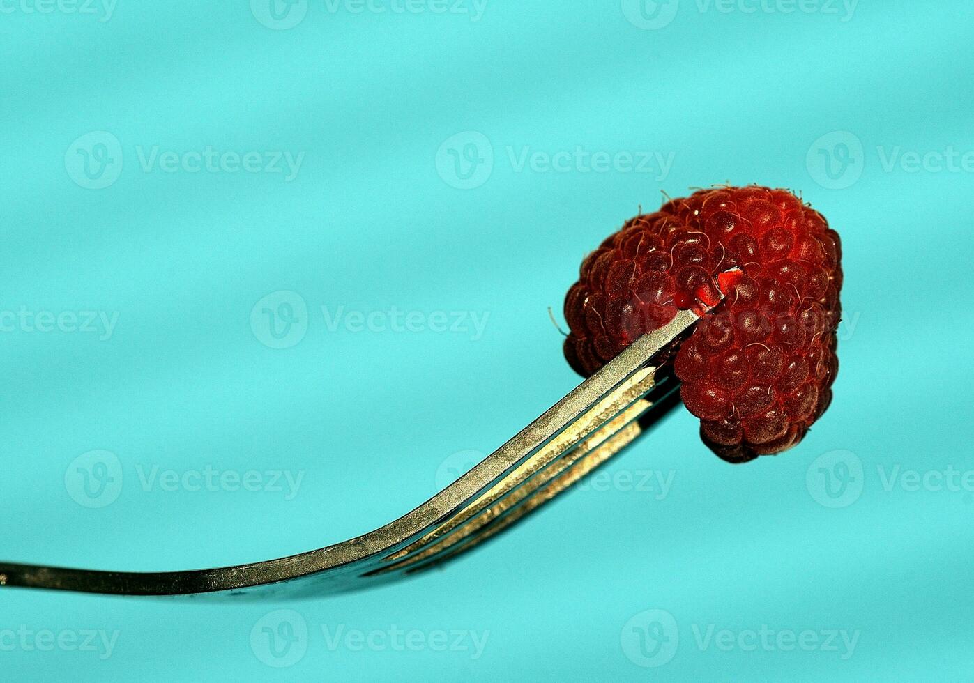 raspberry on blue photo