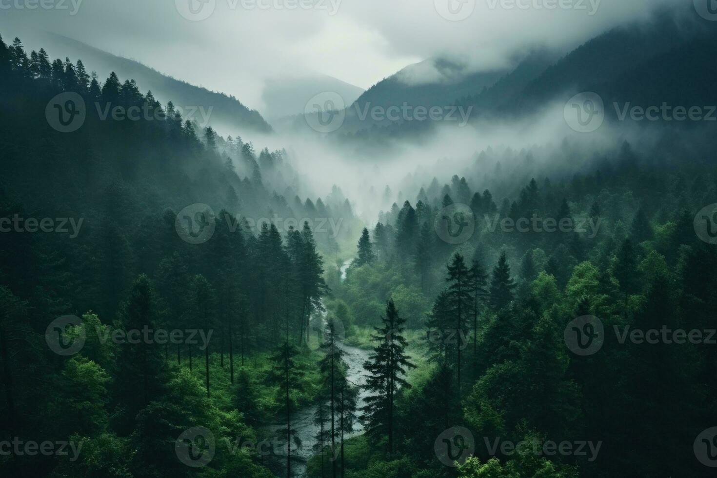 Top view of the pine forest in the rainy season. Generative AI photo