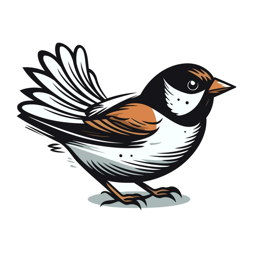 Chickadee bird vector illustration. Isolated on white background.